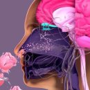 보람화장품 - 노원구 한글비석로 474 | 보람화장품