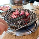 늘푸른목장 이미지