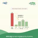 우리목재 이미지