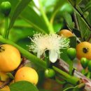 선아 농장 이미지