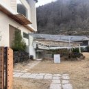 [광주_동구]광주 무등산 애견동반 &#39;카페지즈&#39;