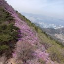 [푸른산악회] 4월2일(일요일) 여수 영취산 진달래꽃 산행 이미지