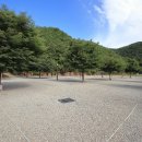 해바라기캠핑장 이미지