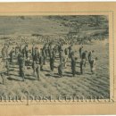 내일2리 이미지