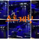 수성아트복싱클럽 수성4가점 이미지