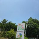 푸른숲유치원 | 진접요양원)푸른숲 요양원 봉사후기
