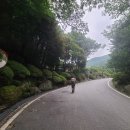 남양주시 서리산~축령산 어게인 (250809) 이미지