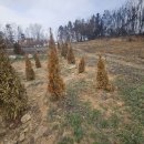 뚝심농장2 이미지