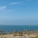 벗길민박 이미지