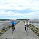 증도 갯벌생태전시관 이미지