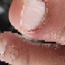 상록메디칼약국 이미지