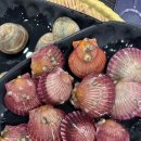 등대오락실 이미지