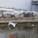 신대방역(2) 이미지