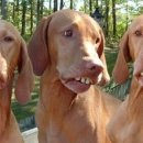 이두상사 이미지