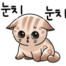 주왕산온천관광호텔 이미지