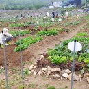 생동농장 이미지