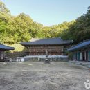 진주 이미지
