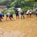삼척남초등학교 이미지