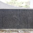 장죽도