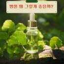 단비농원 이미지