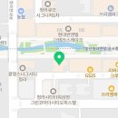 네코스토리 (서울 본점) 고양이 무료 분양 이미지