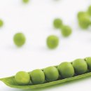 두부 나라 이미지