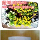 윤경꽃화원 이미지