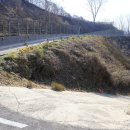 막지리184 이미지