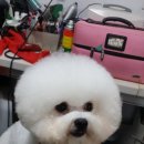 레이지 포 이미지