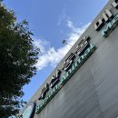 거제대로R | 부산동물메디컬센터 :: 14살 노견 강아지 담낭절제술 후기(1)