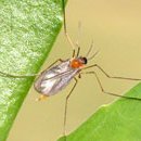 마루주막 이미지