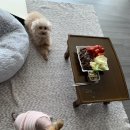 마장제일의원 네이버블로그