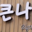 소통하는 나무 이미지