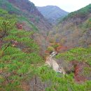 강천산군립공원(현수교) 이미지