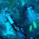 날으는 돈까스 이미지