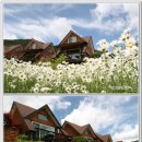 별과 달 펜션 이미지