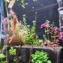 와이키즈인천송도센터 이미지