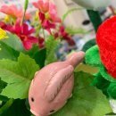 벨톤보청기 이미지