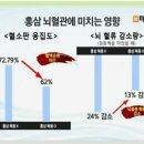 녹색지대허브다이어트