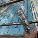 몸치한의원 이미지