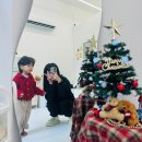 대구 북구 칠성동 속눈썹연장 미블링뷰티 유지력 좋은 곳