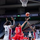 아이리스 이미지