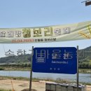 청보리축제장 이미지