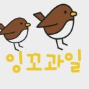잉꼬과일 - 7658 | 잉꼬과일