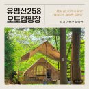[가평/계곡 캠핑장] 데크사이트, 강자갈, 계곡까지 전부 다 있는 유명산258오토캠핑장 후기