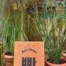 앤스하우스 이미지