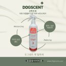 도그라니 이미지