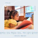 유아 전집 성장동화 그레이트북스 베베코알라 19개월 아기 그림책 후기