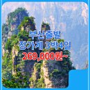 대성여행사 이미지