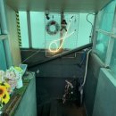 J&D 실내바다낚시터 이미지